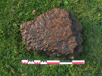 projet 52 – 17-52 projet 52 – 17-52