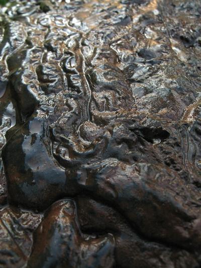 projet 52 – 17-52 projet 52 – 17-52