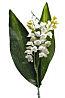 muguet.jpg