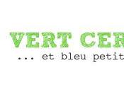 organizer papier offert Vert Cerise