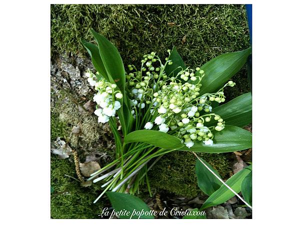 muguet