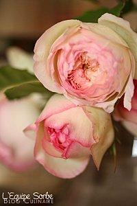 roses de maman (5)