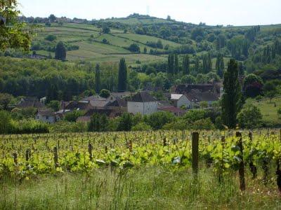 Prochainement Grimoires déménage à Bissey-sous-Cruchaud (71390)