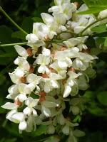 Prochainement Grimoires déménage à Bissey-sous-Cruchaud (71390)