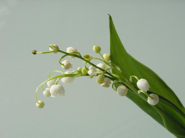 Just a lovely day…