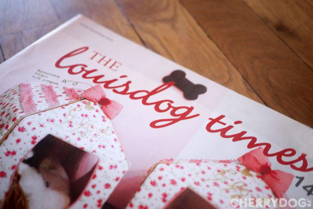 Le Cardigan Cupcake de Louisdog & co