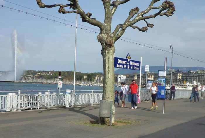 Sans titre3-ssssss1111.jpg