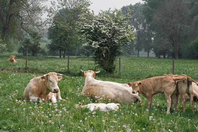 La ferme du Prieuré