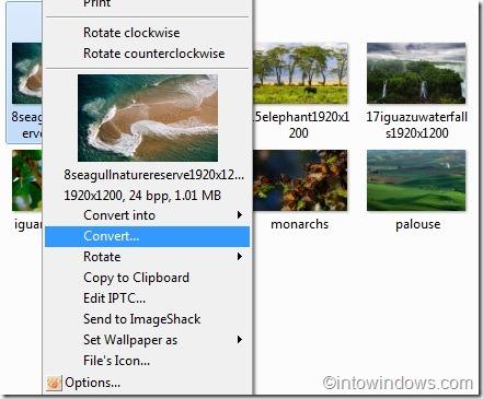 XnView RightClic WindowsExplorer XnView : convertir ou compresser toutes les images en un clic