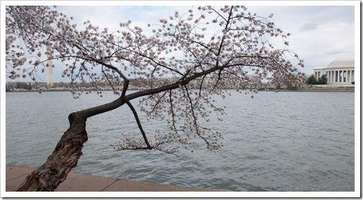 01042011-DSC_0210bis