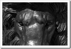 29032011-DSC_0126bis