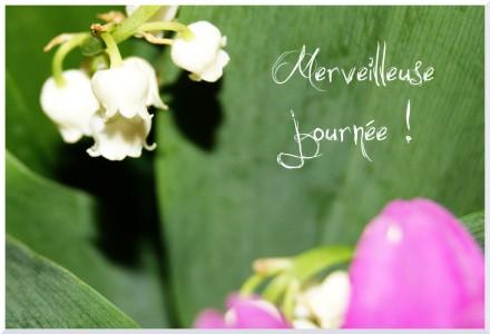 Belle journée à vous !