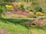 Fini muguet, place rhododendrons