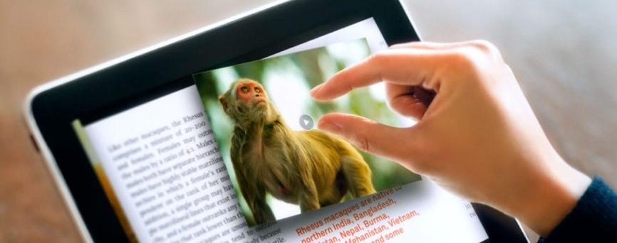 Push Pop Press bouscule les codes de l’édition numérique avec l’aide d’Al Gore