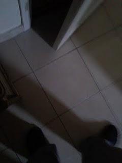 L'ANE LE CHAT ET MOI