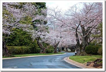 02042011-DSC_0010bis