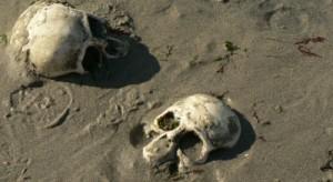 [CONCOURS] Gagnez 5dvd et 5 blu Ray du film L’île !