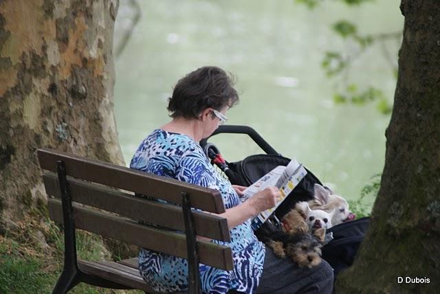 La
 La Dame aux chiens .


De loin au assise  bord d...