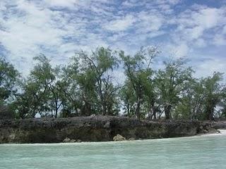 Atoll d'Aldabra - Seychelles