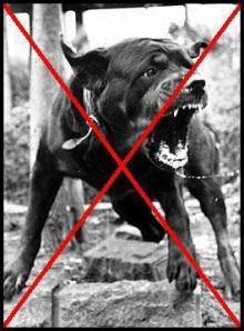 Marion Anne Perrine Le Pen, une chienne de garde ? Seulement du capital, alors…