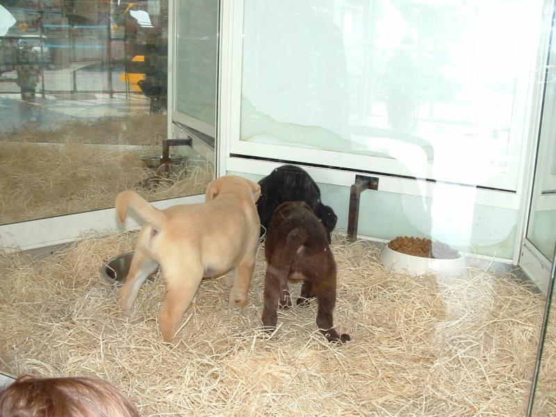 Image hébergée par servimg.com