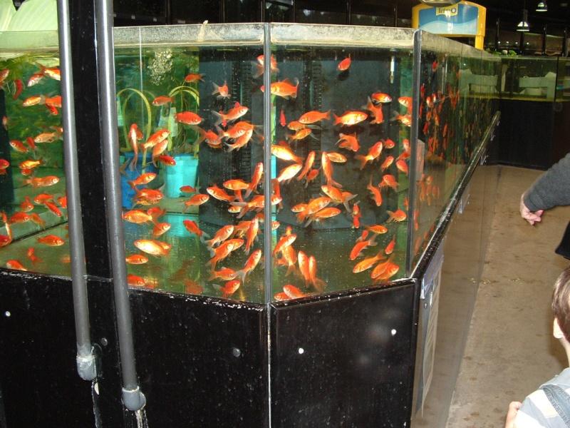 Image hébergée par servimg.com