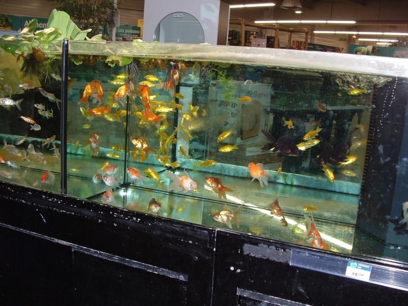 Image hébergée par servimg.com