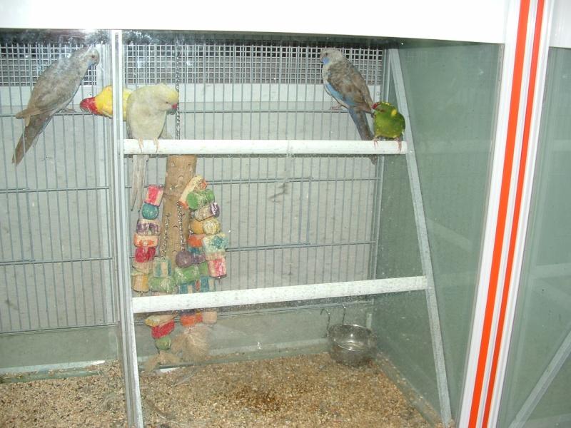 Image hébergée par servimg.com