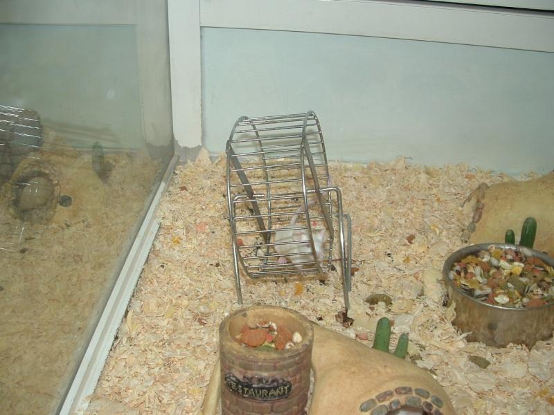 Image hébergée par servimg.com