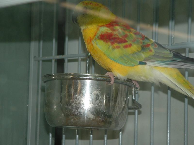 Image hébergée par servimg.com