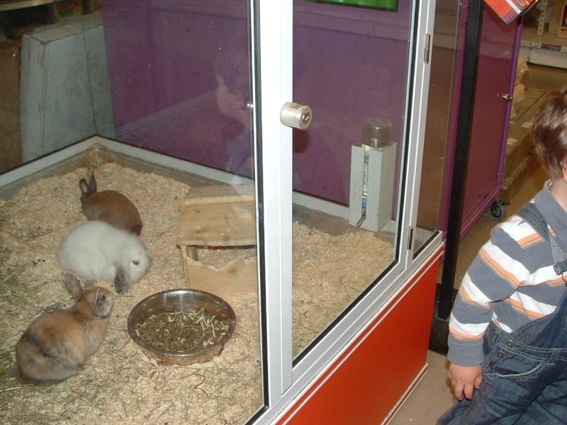 Image hébergée par servimg.com