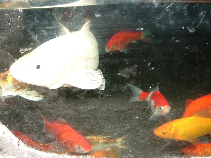 Image hébergée par servimg.com