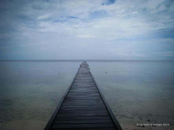 Seuls au monde sur le ponton de Kakaban (Kalimantan Est, Indonésie)