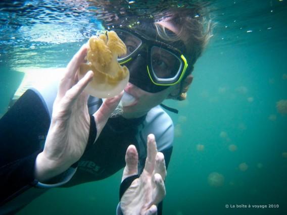 Avec mes doigts tout fripés, je redécouvre la douceur des méduses (Kakaban, Kalimantan Est, Indonésie)