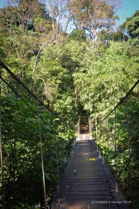 Un des nombreux ponts suspendus de la région (Massif du Pegunungan Meratus, Kalimantan Sud, Indonésie)