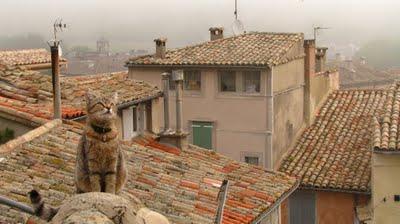 Ma Petite est enceinte !