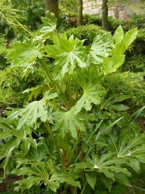 Me voilà rentrée, les vacances sont finies et à mon ...