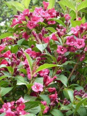 Me voilà rentrée, les vacances sont finies et à mon ...