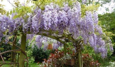 Me voilà rentrée, les vacances sont finies et à mon ...