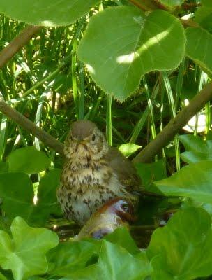 Me voilà rentrée, les vacances sont finies et à mon ...