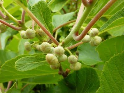 Me voilà rentrée, les vacances sont finies et à mon ...