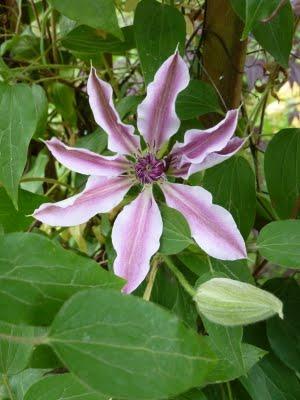 Me voilà rentrée, les vacances sont finies et à mon ...