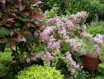 Me voilà rentrée, les vacances sont finies et à mon ...