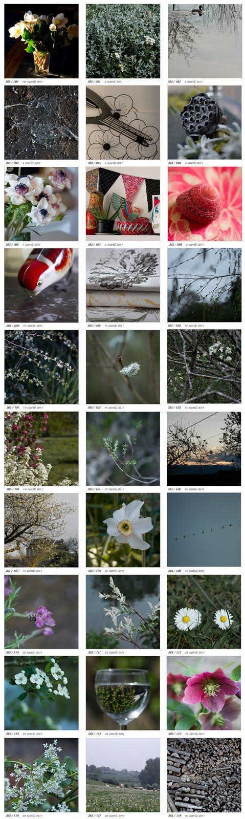 Projet 365 - avril