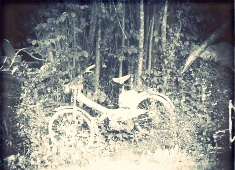 Selfportrait in la Creuse