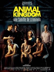animal kingdom affiche