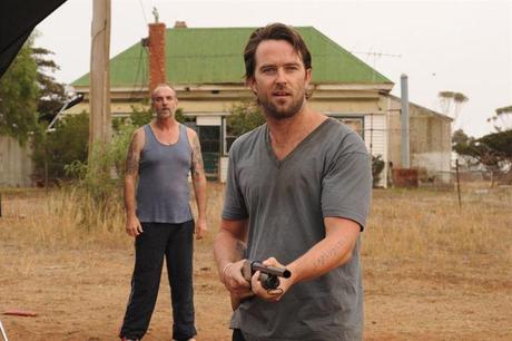 Animal Kingdom, critique