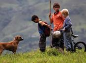 fleurs contre fusils