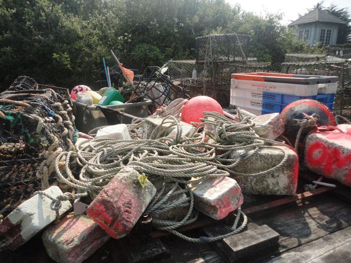 Monthly pics 01 - DIA