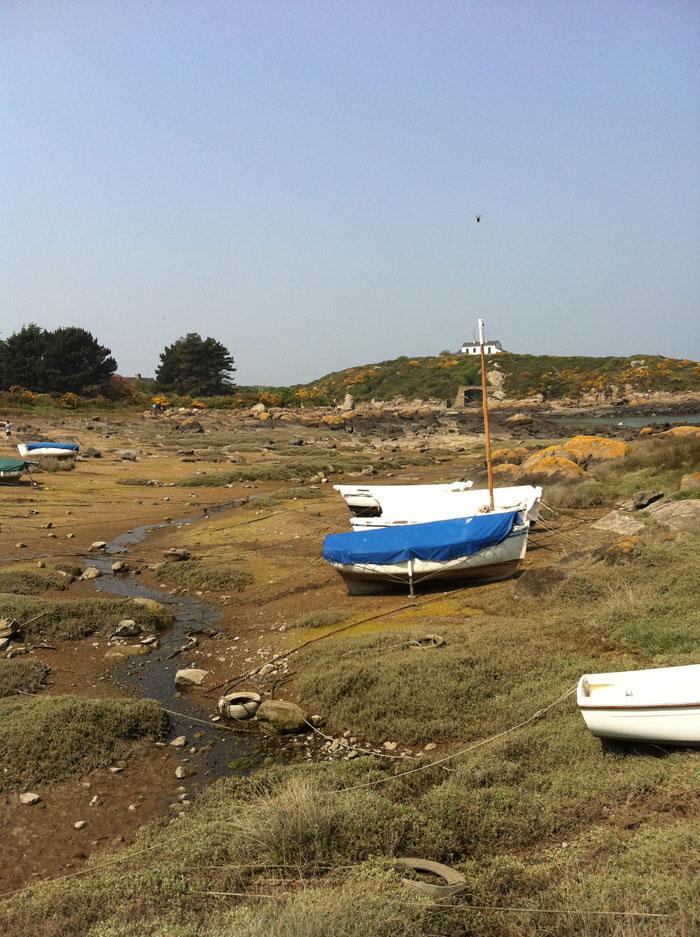 Monthly pics 01 - DIA